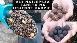 Najlepsza zanęta na karpia: Skuteczne przepisy i porady (do 70 znaków)