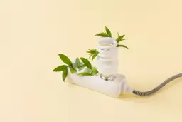 Przeciętne zużycie prądu w mieszkaniu: Czy przepłacasz?