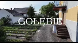 Filmy o gołębiach pocztowych: emocjonalne historie i ich znaczenie