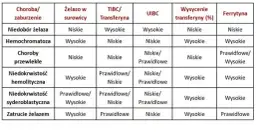 Twoje wyniki żelaza: co oznaczają Fe, ferrytyna i TIBC?