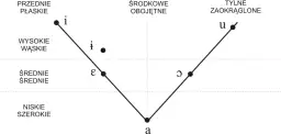 Wykres samogłosek: przednie płaskie (i, ε), środkowe obojętne (•, ǝ), tylne zaokrąglone (u, ɔ). Niskie szerokie to 'a'.