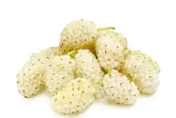 Jak pić herbatę z morwy białej - skuteczne porady i dawkowanie w praktyce