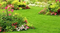 Kwiaty kwitnące całe lato: Sekret ogrodu pełnego barw