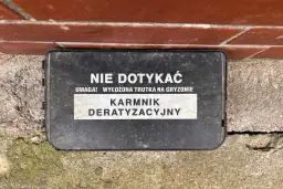 Kto odpowiada za deratyzację w bloku? Prawo i Twój plan działania.