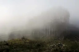 Mglisty las, gdzie stojące drzewa giną we mgle, a na zboczu leżą powalone pnie. Brzydkie zdjęcia, które budzą niepokój.