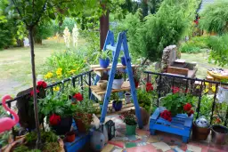 Jak zrobić kwietnik z drabiny - prosty sposób na piękne rośliny w domu