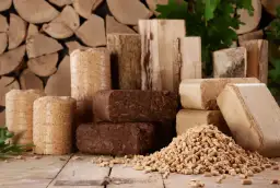 Różne rodzaje brykietów i pelletu drzewnego. Zastanawiasz się, ile kosztuje tona pelletu? Oto odpowiedź w obrazie.
