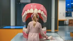 Ile trwa wizyta u dentysty? Od przeglądu po kanałowe realne czasy.