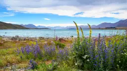 Najczystsze jezioro na świecie: niezwykła przejrzystość i zagrożenia