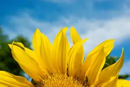 Cytaty motywujące na co dzień, które zmienią Twoje życie na lepsze