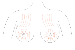 Ile kosztuje korekta biustu? Ceny i czynniki wpływające na koszt