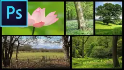 Jak zrobić kolaż w Photoshopie - proste kroki, które zaskoczą każdego