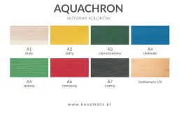 Aquachron - koloryzujący impregnat akrylowy
