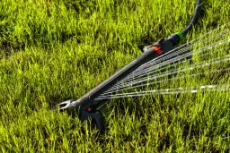 Jak ustawić zraszacz wahadłowy? Perfekcyjny trawnik krok po kroku