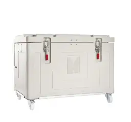 Przewóz lodów autem w upał: torba, lodówka, suchy lód!