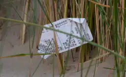 Paragon do jakich śmieci? Oto prawda, która może zaskoczyć!