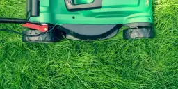 Jak kosić trawnik skutecznie i uniknąć najczęstszych błędów