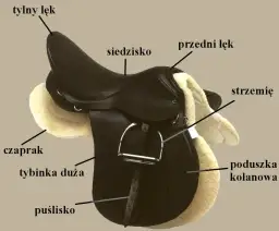 Ile waży siodło? Odkryj, jak waga wpływa na komfort jazdy