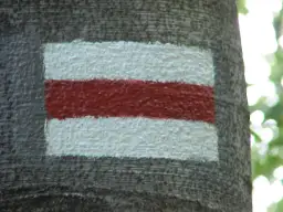 Niebieski szlak turystyczny namalowany na korze drzewa: biały, czerwony, biały pas.