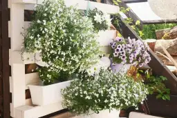 Jakie kwiaty do kwietnika z palet - najlepsze rośliny na balkon