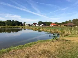 Najlepsze łowiska komercyjne w Toruniu - sprawdź, gdzie łowić ryby