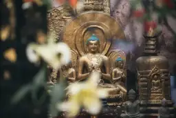 Buddyzm w Gdańsku: Medytacje, warsztaty i wydarzenia dla każdego