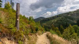 Góry wokół Żywca: Beskid Żywiecki, Mały, Śląski szlaki i atrakcje