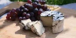 Ser dla wegetarian? Sprawdź, jak wybrać bezpieczny i smaczny!