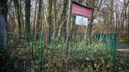 Rezerwat przyrody Polesie Konstantynowskie: historia i atrakcje, które musisz poznać