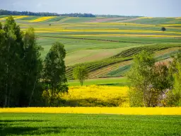 Roztocze: Odkryj najpiękniejsze miejsca i zaplanuj podróż
