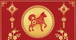 Pies jako chiński znak zodiaku: poznaj jego charakterystykę