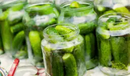 Kiedy kisić ogórki na zimę? Idealny czas na chrupkość!