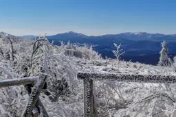 Mroźna **tarnica zimą** w Bieszczadach. Gałęzie pokryte szronem, drewniane ogrodzenie i błękitne niebo.