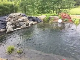 Grünes Wasser im Teich wieder klar bekommen: Effektive Lösungen und Tipps