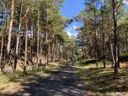 Rezerwat przyrody Mierzeja Sarbska – unikalne ekosystemy i atrakcje