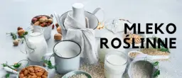 Jaki napój roślinny do kawy wybrać, by uniknąć laktozy?