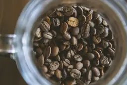 Czy kawa jest zdrowa? Maksymalne korzyści, minimalne ryzyko