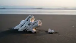 Sen o wypadających zębach: Uspokój się! To nie śmierć, a sygnał