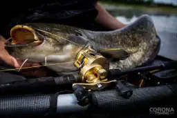 Wędka na suma: Jak wybrać idealny spinning? Poradnik