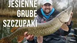 Najlepsze przynęty na szczupaka jesień - unikaj błędów w łowieniu