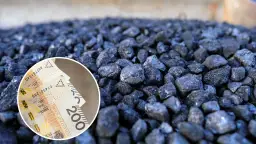 Jakie są aktualne ceny węgla w Biedronce i gdzie go kupić?