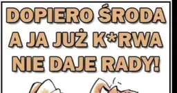 Obrazki na Środę - Środa GIF | Śmieszne Gify na Środę