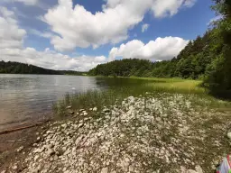 Piękny dzień nad jeziorem, idealne miejsce, by odpocząć i zastanowić się, co robić w Sulęczynie.