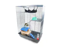 Co na dno klatki dla świnki morskiej? Najlepsze opcje, które pokochasz