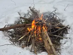 Jakie drewno na ognisko? Wybierz najlepsze i pal bezpiecznie!