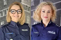 Czynności wyjaśniające w wykroczeniach: praktyczny przewodnik