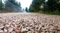 Ile kosztuje kruszywo na podjazd? Oblicz i nie przepłacaj!