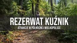 Rezerwaty przyrody w Wielkopolsce: Odkryj ich unikalne piękno