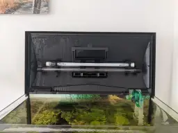 Jak zrobić oświetlenie do akwarium, aby uniknąć błędów i oszczędzać energię