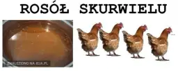 Rosół z kur wielu kawał: skąd się wziął ten mem?